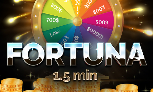 okking Fortuna 1.5 min